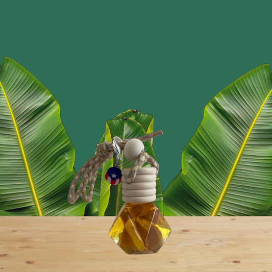 Difusor Aromatizador para automóvil- Diamante - incluye charm